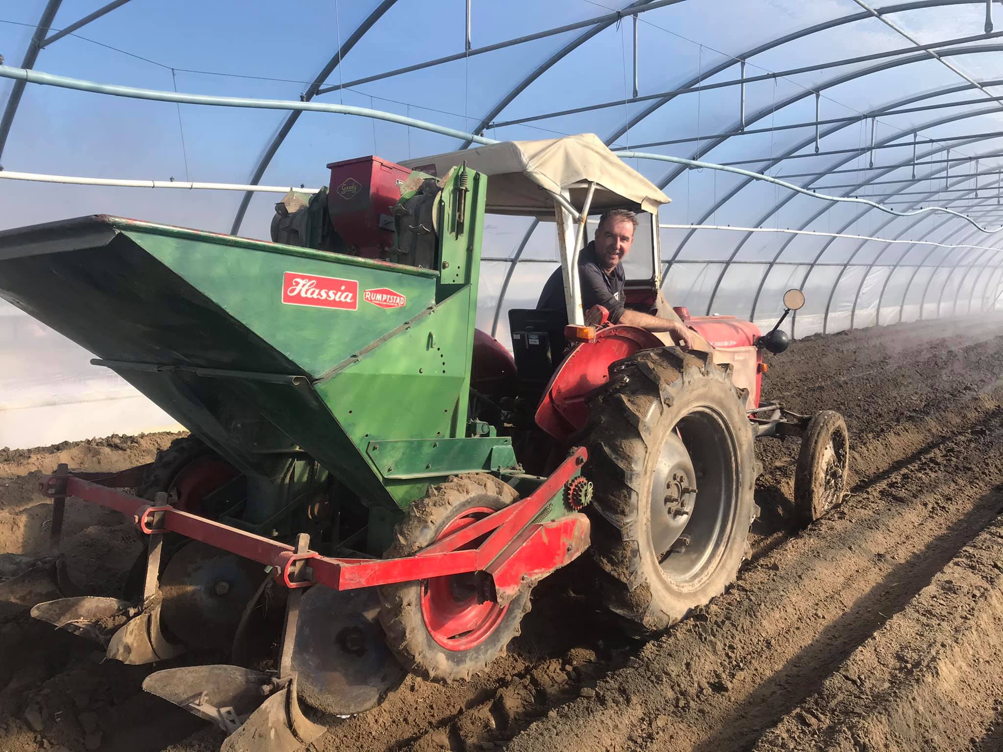 aardappelen poten in de kas