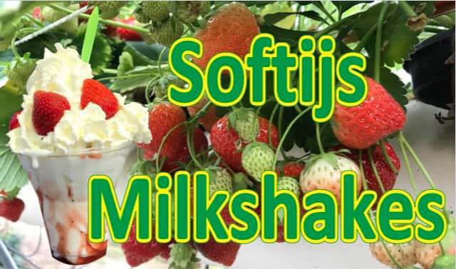 softijs en milkshakes